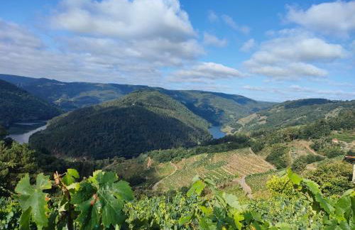 Casa Telmo - Foto 74