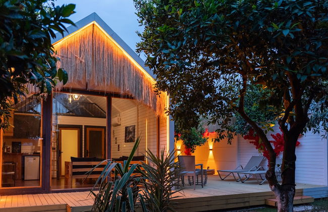 Collesium Garden - Foto 14