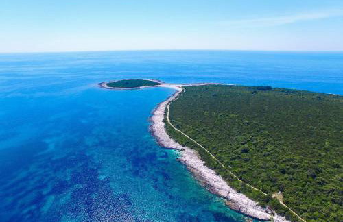 Sakarun - Ena - Photo 61