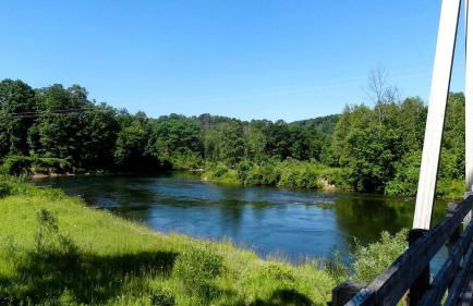 Beautiful Cottage Nestled Amidst Trees in Wellston, Michigan - Foto 21