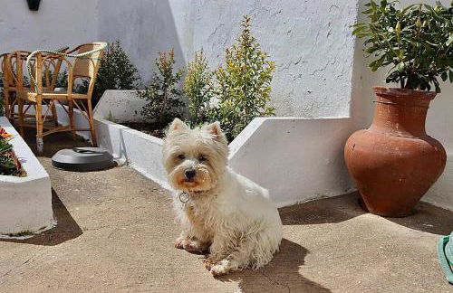 A Casa dos Raminhos - Foto 19