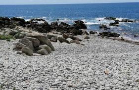 Maison jardin bord de mer Bretagne authentique - Foto 41