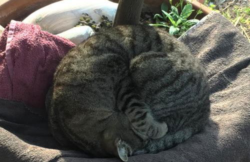 Poggio Magginga - Foto 39