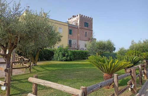 La Torre di Barbara - Foto 1