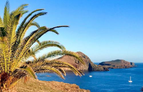 Sol & Mar Camara de Lobos - Foto 7