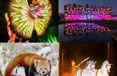 Newly Renovated 5 Star Cosy-Up Romantic Cottage Longleat & Centre Parcs 5 min - Foto 25