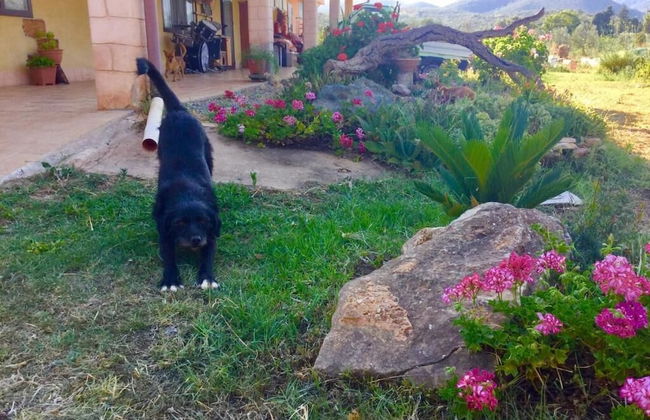 Agriturismo Sogno Latino - Photo 27