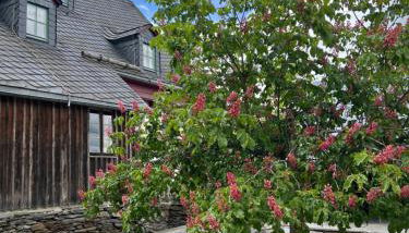 Künstlerwohnung - Foto 2