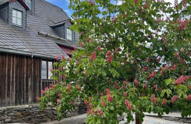 Künstlerwohnung - Foto 2