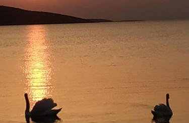 Marmari megali ammos oasis studio's - Photo 44