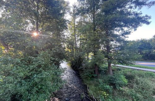 FeWo Steineck leutenberg - Foto 12