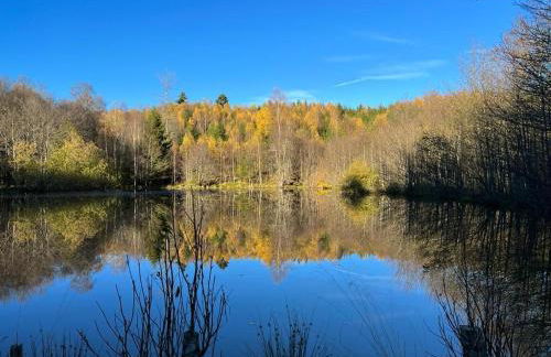 L' Extravagante im Garten von Schloss Schmidtheim - Foto 13