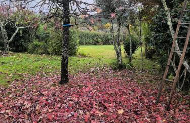 Casa de Reborido - Foto 51