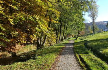 Ferienwohnungen Tannenhof - Foto 39