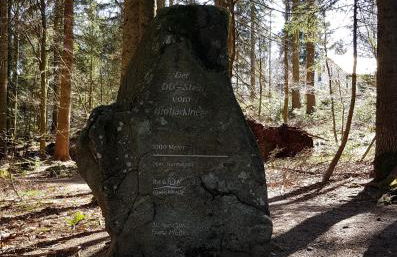 Ferienwohnung 32 im Ferienland Sonnenwald - Bayerischer Wald - Foto 20