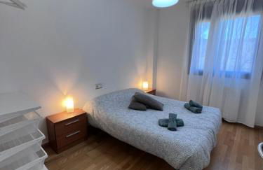 Apartamento en Sabiñánigo para grupos con amplia y soleada terraza - Foto 21