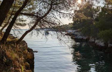 Yellow submarine - whole house - Foto 31