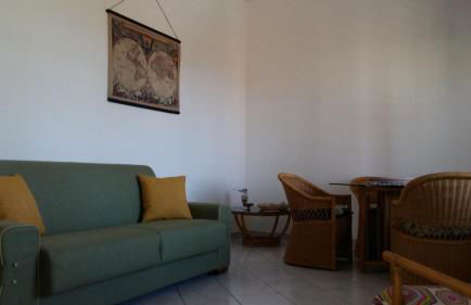 Hibiscus Rosso - Foto 14