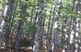 Casas Valleiruelas - Photo 14