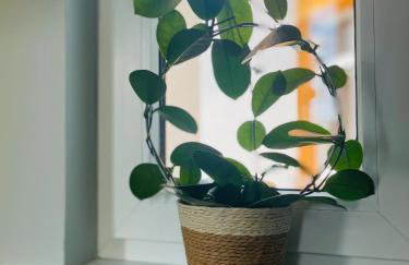 Centrum Noclegi Wągrowiec Kolejowa 15 - Foto 18