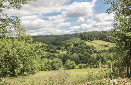 Low Muffles Bridge - Foto 24