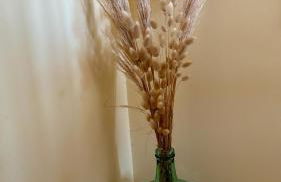 Maison beach Fisterra - Foto 17