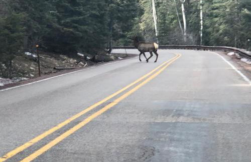The Cabins at Cloudcroft - Foto 6