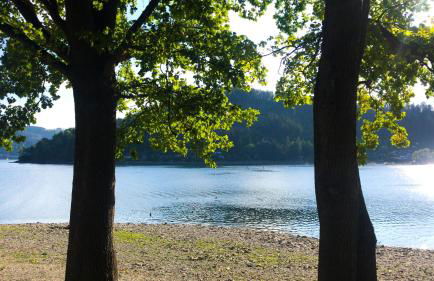Schlossberg Apartments & Garten in der Natur & unweit vom "Thüringer Meer" - Foto 56