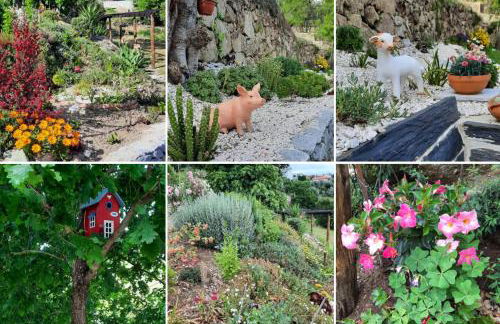 Bosque da Fantasia - Foto 11