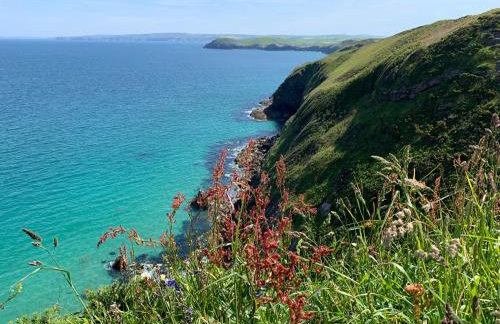 St. Kew Shepherd Huts - Foto 29