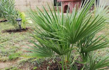 Apartmani GIMI Shine - Foto 31