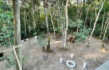 Bosque na Montanha Encantada - Foto 36