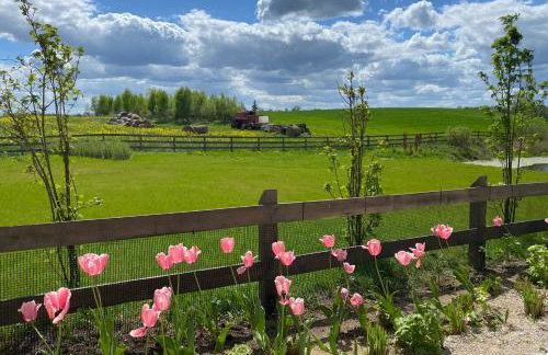 Cuda Wianki Mazury - Foto 30