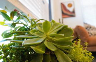 Canyon Stop - Foto 27