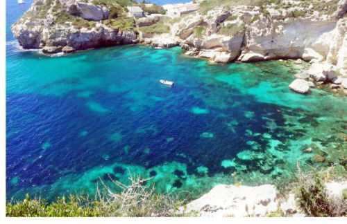 Little Suite Kaidi - Foto 20