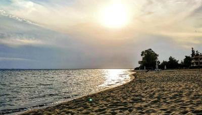 The House Of The Roses - Foto 4