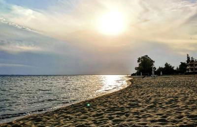 The House Of The Roses - Foto 4