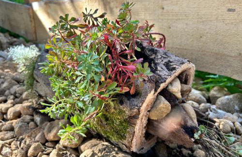 Herbert's Naturlodge - Ferienidyll im Naturpark Zittauer Gebirge - Foto 13