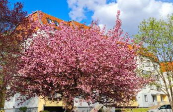 Moderne Wohlfühlferienwohnung in Hildburghausen - Foto 13