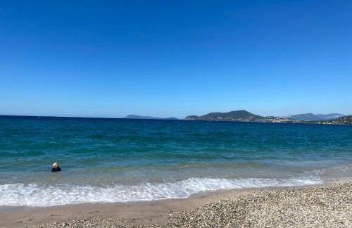 CAP SUD 83 APPART VUE MER 200m plages - Foto 28