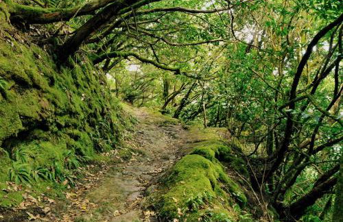 Casa Julia atico vistas playa Las Teresitas - Foto 28