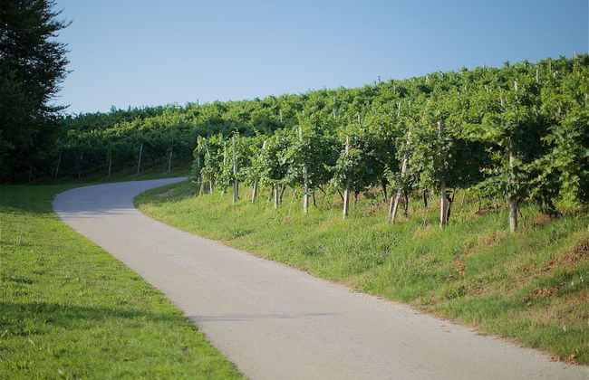 Tourist Farm Lovrec - Foto 55