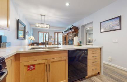 Mammoth Green #102 condo - Foto 4