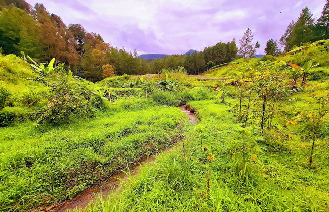 Ciwidey Jungle Villa - Foto 50