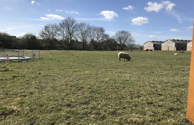 Bridge Farm Holiday Cottages - Foto 53