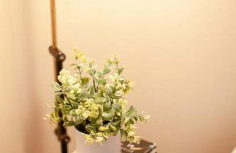 Classic & Cozy Apartments - Parking & Close to DW - Foto 15