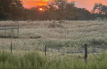 Tranquil Modern Cabin with Friendly Farm Animals & Pond Views Near Cedar Creek, Texas - Photo 50