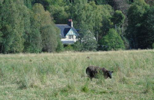 Thistle Cottage, CrannachCottages - Foto 25