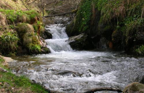 le monne (dit la fermette ) - Foto 10