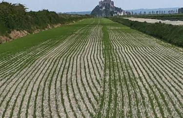 Rozéliande - Foto 46